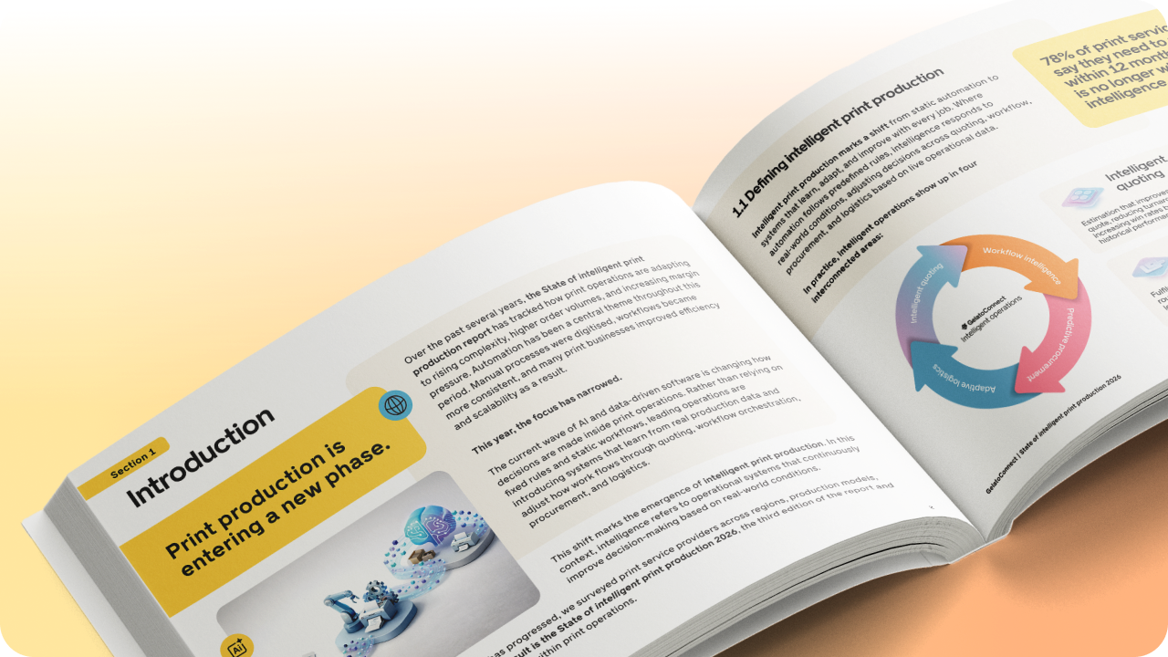 Abschnitt 2 – State of Intelligent Print Production